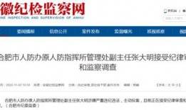 合肥爆料最新消息新闻事件,惊现重大新闻事件！